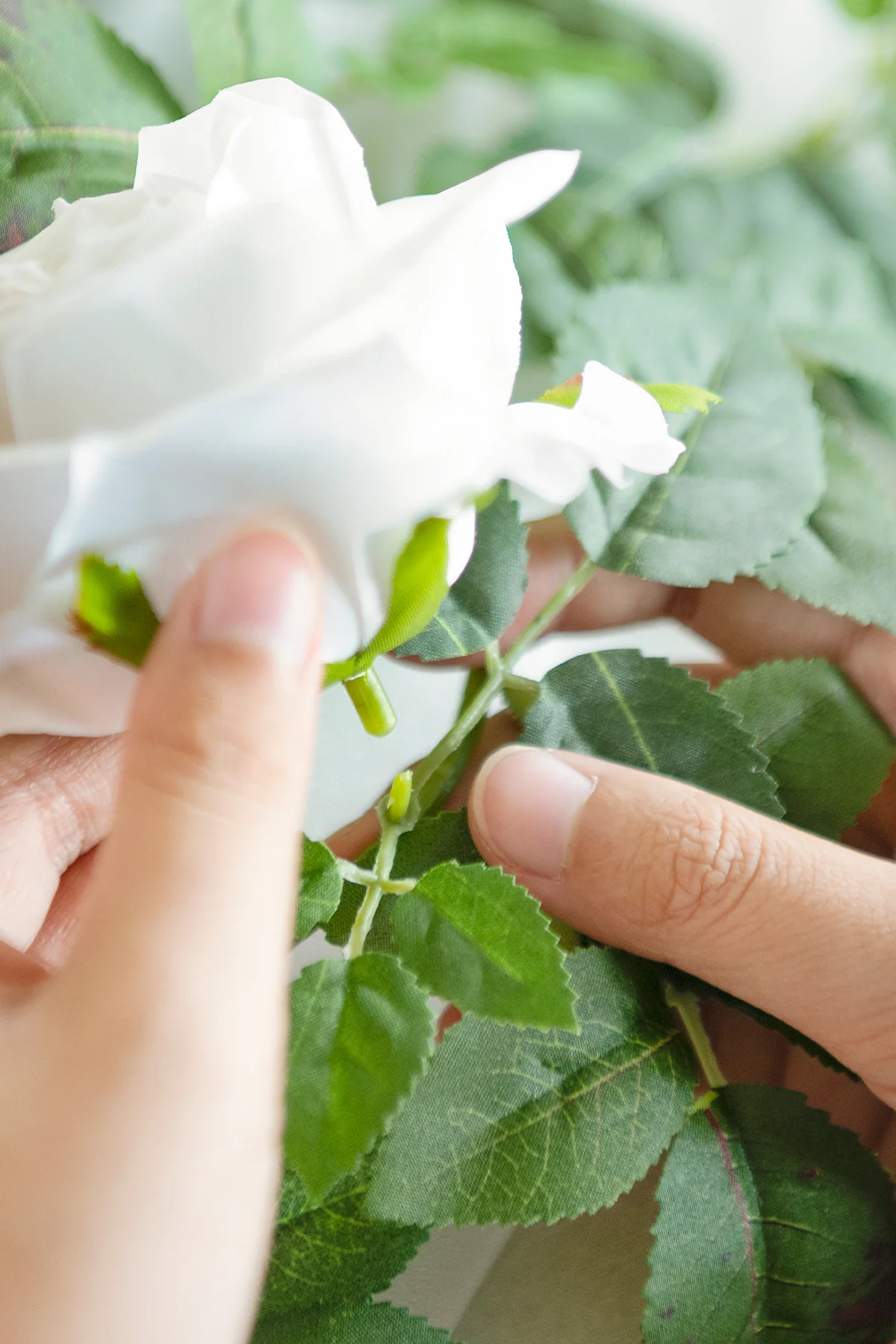 DIY Greenery | Best Sellers - Image 20