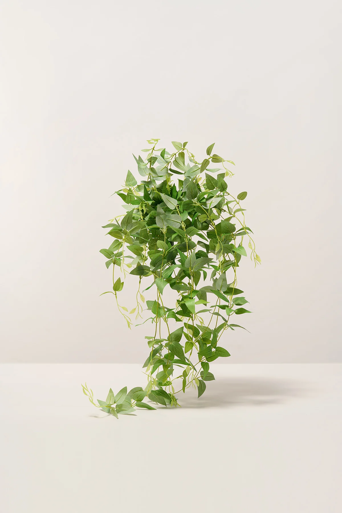 DIY Greenery | Best Sellers - Image 33
