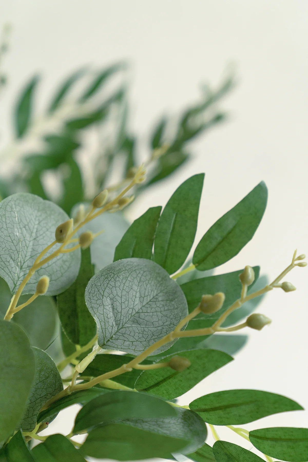 DIY Greenery | Best Sellers - Image 50