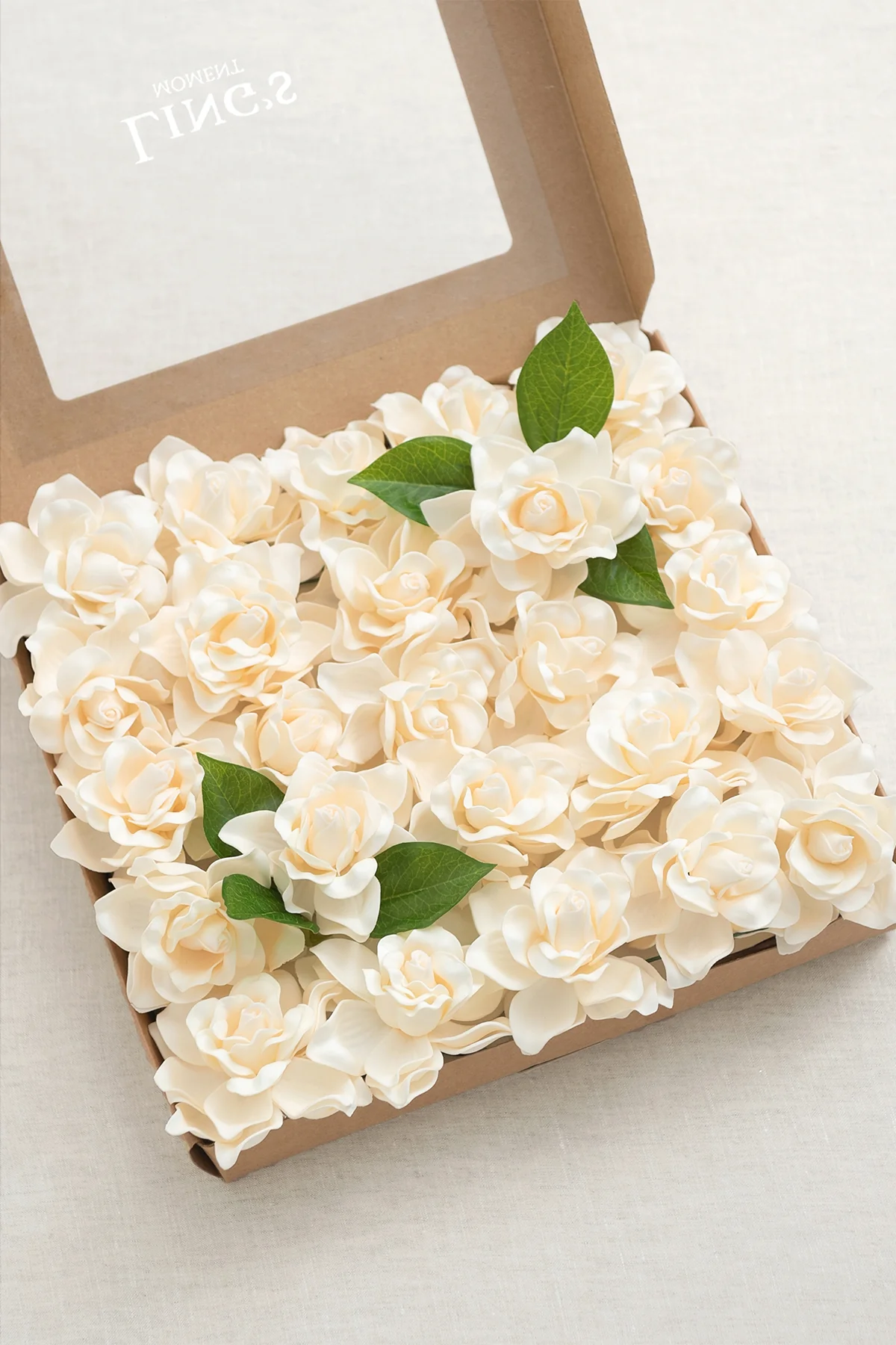 DIY Supporting Flower Boxes - Cream Gardenia - Image 4