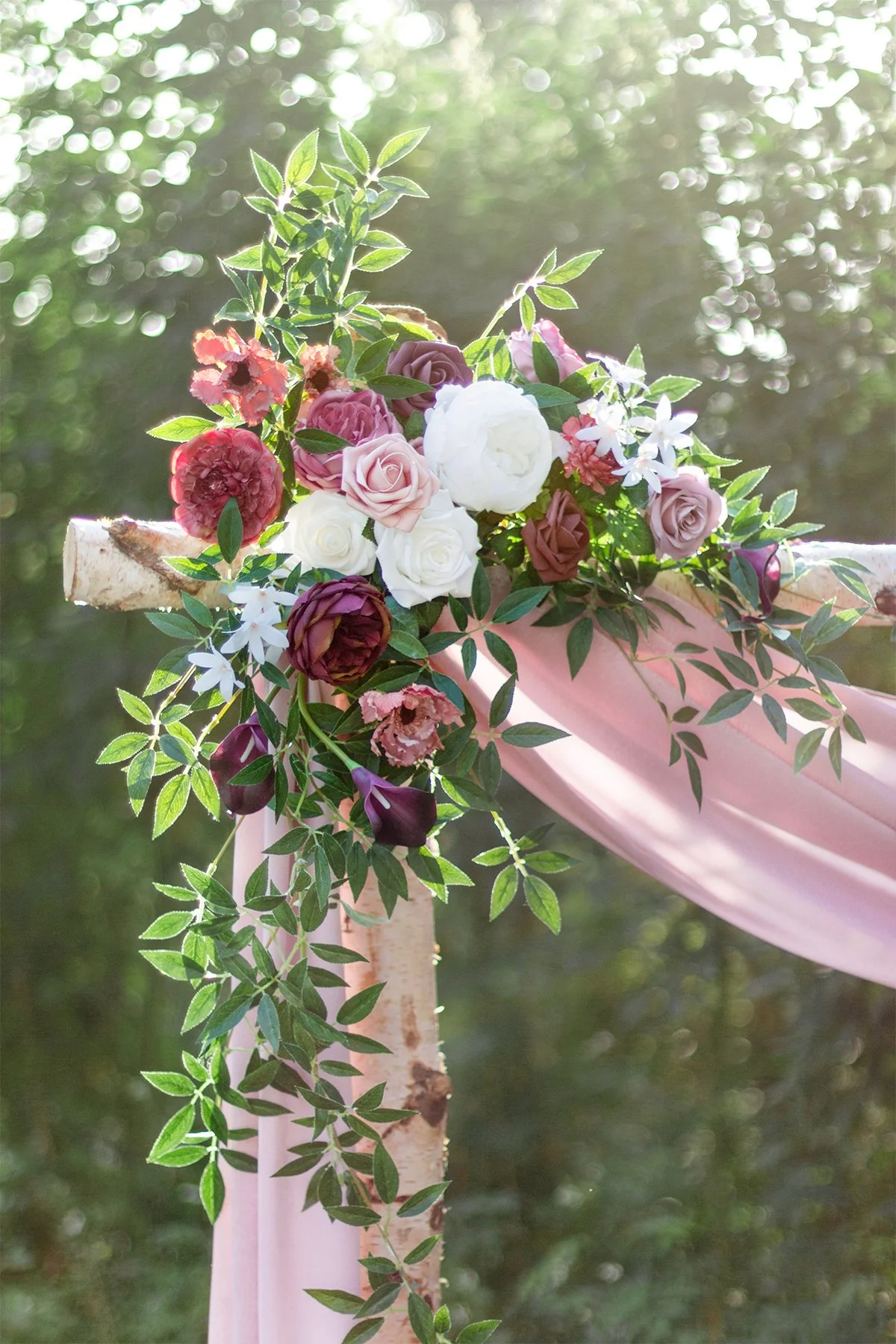 Rosa Banksiae Hanging Vine - Image 3