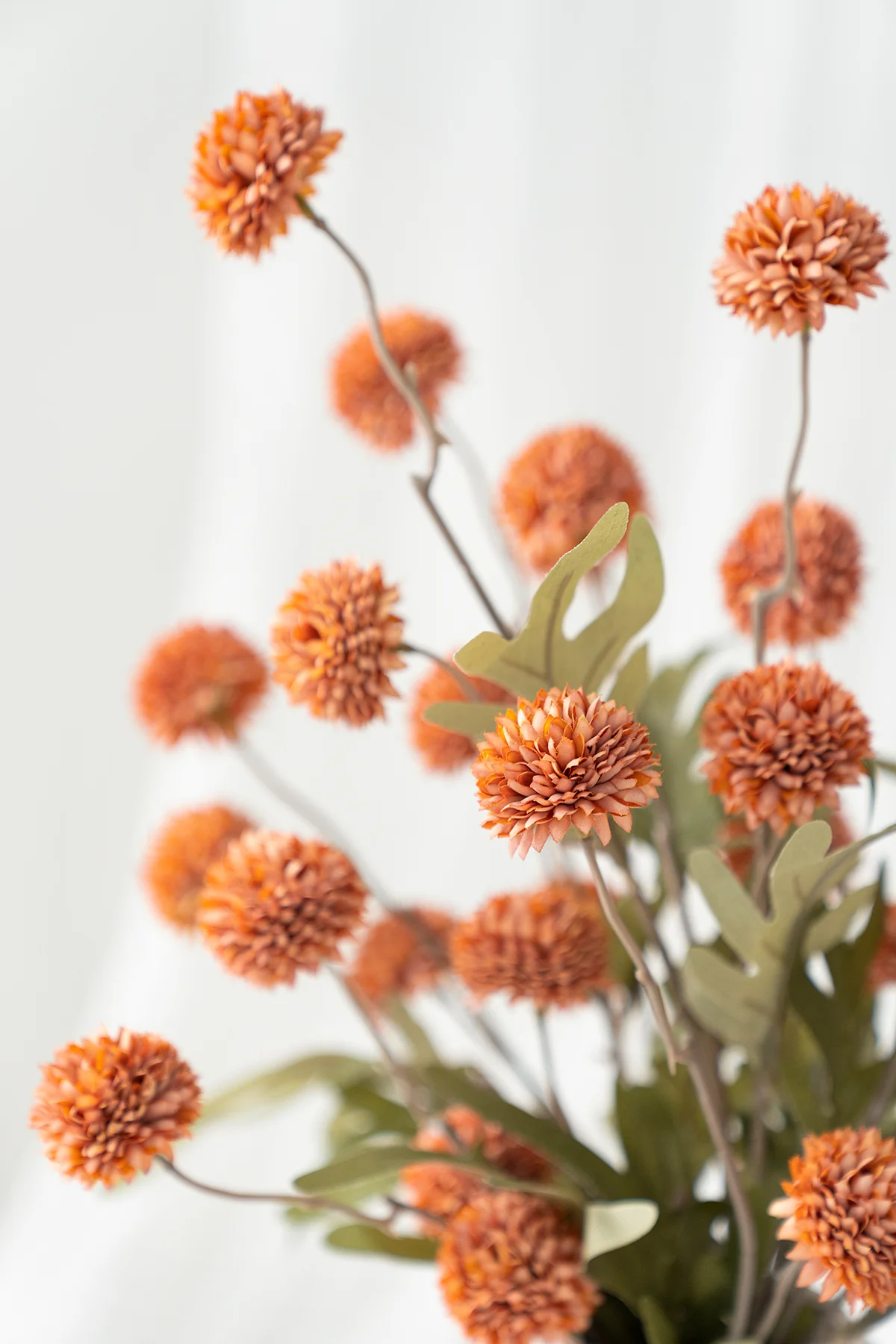 Flowers with Stem in - Burnt Orange Pompon Mum (5pcs) - Image 3