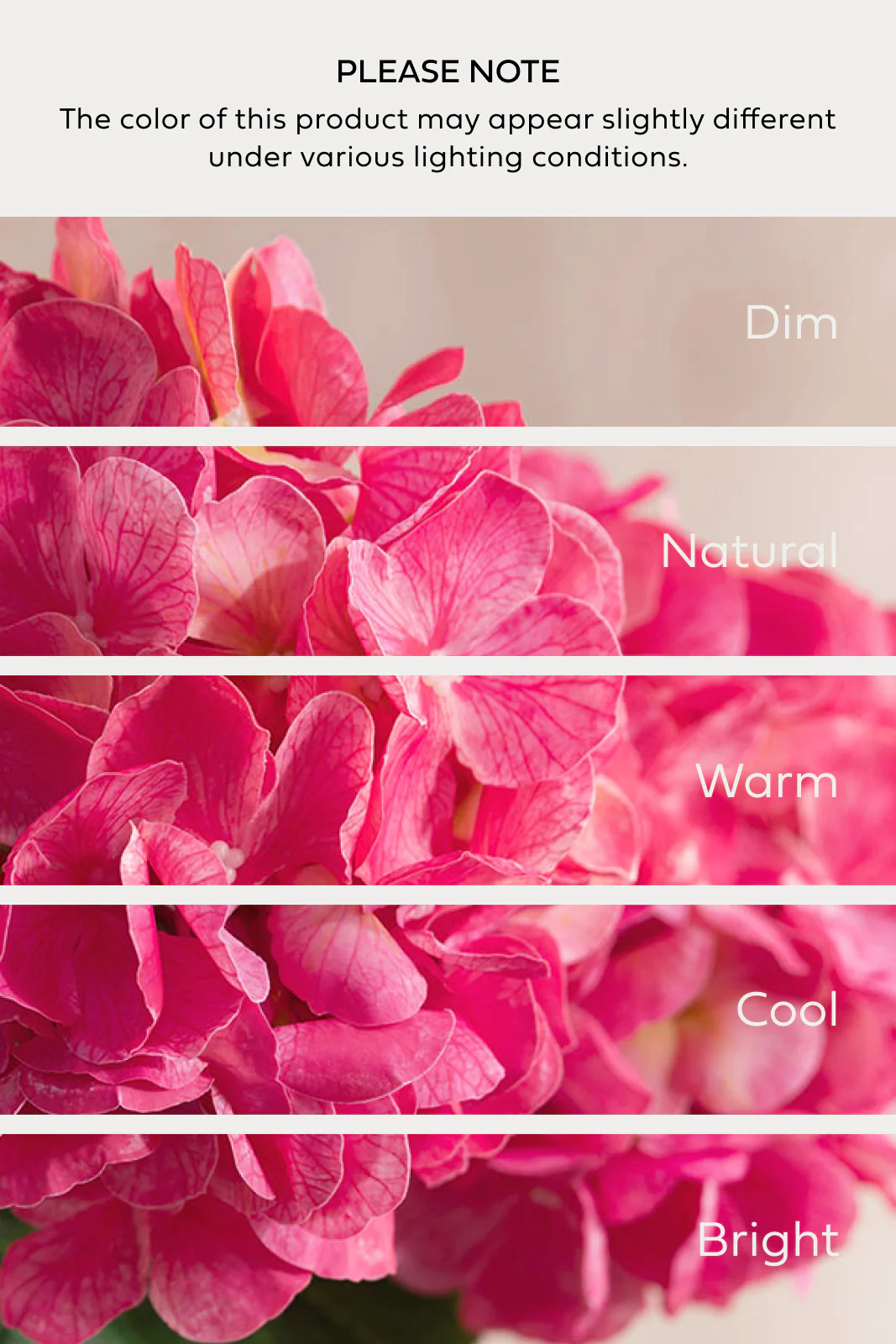 Hydrangeas with Stem - Berry Pink - Image 5
