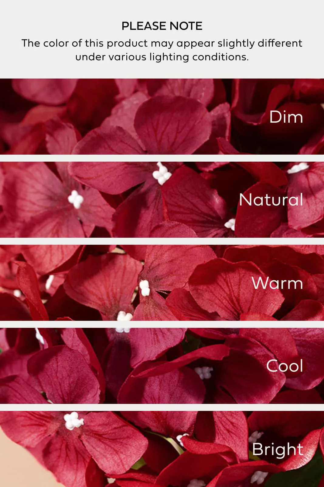 Hydrangeas with Stem - Black Baccara - Image 3