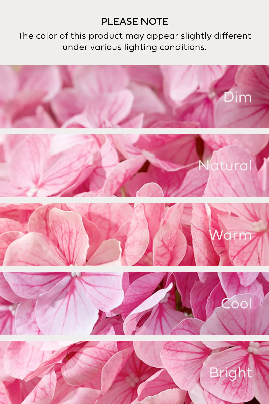Hydrangeas with Stem - Blush-pink Heirloom - Image 3