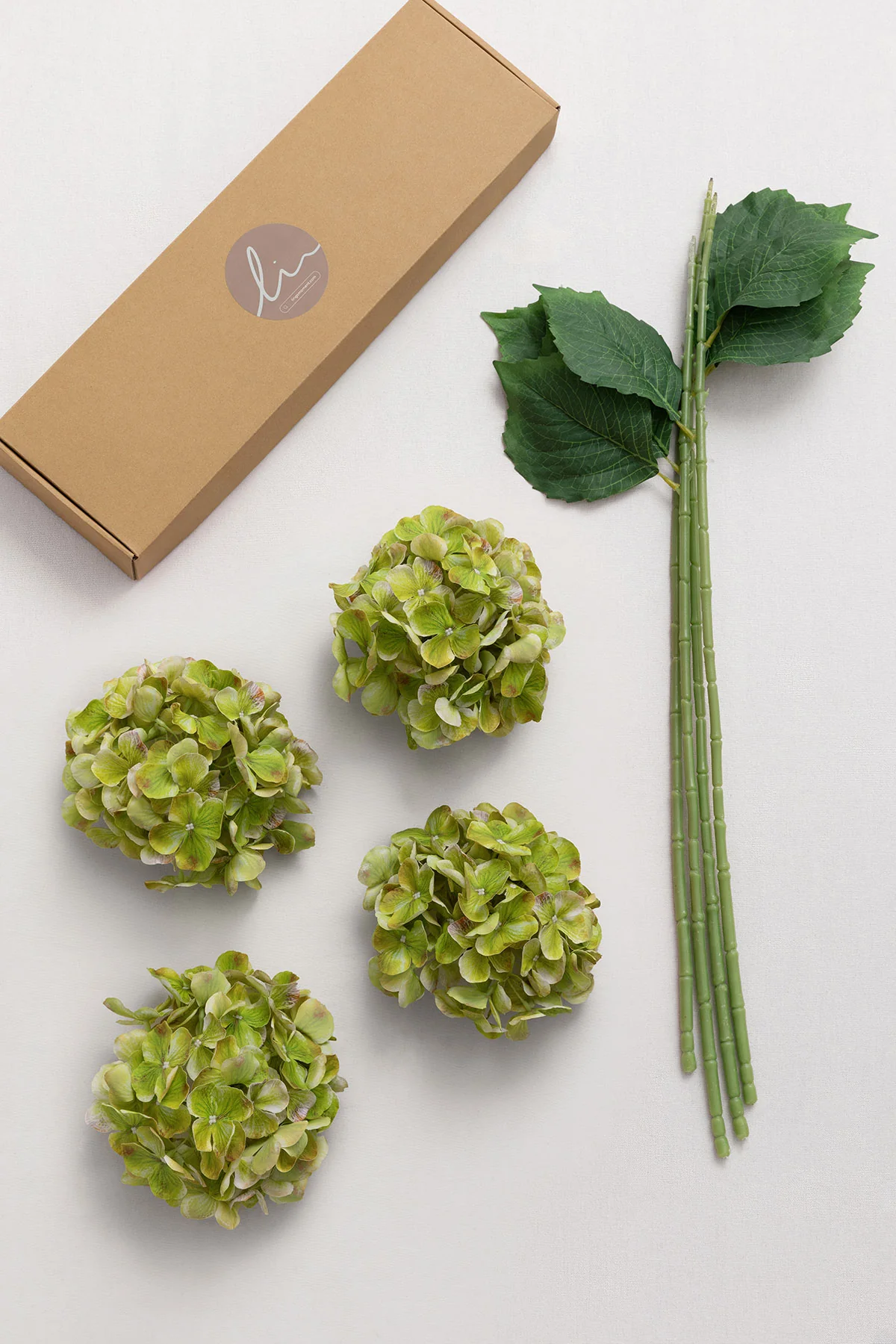 Hydrangeas with Stem - Kiwi Colada - Image 5
