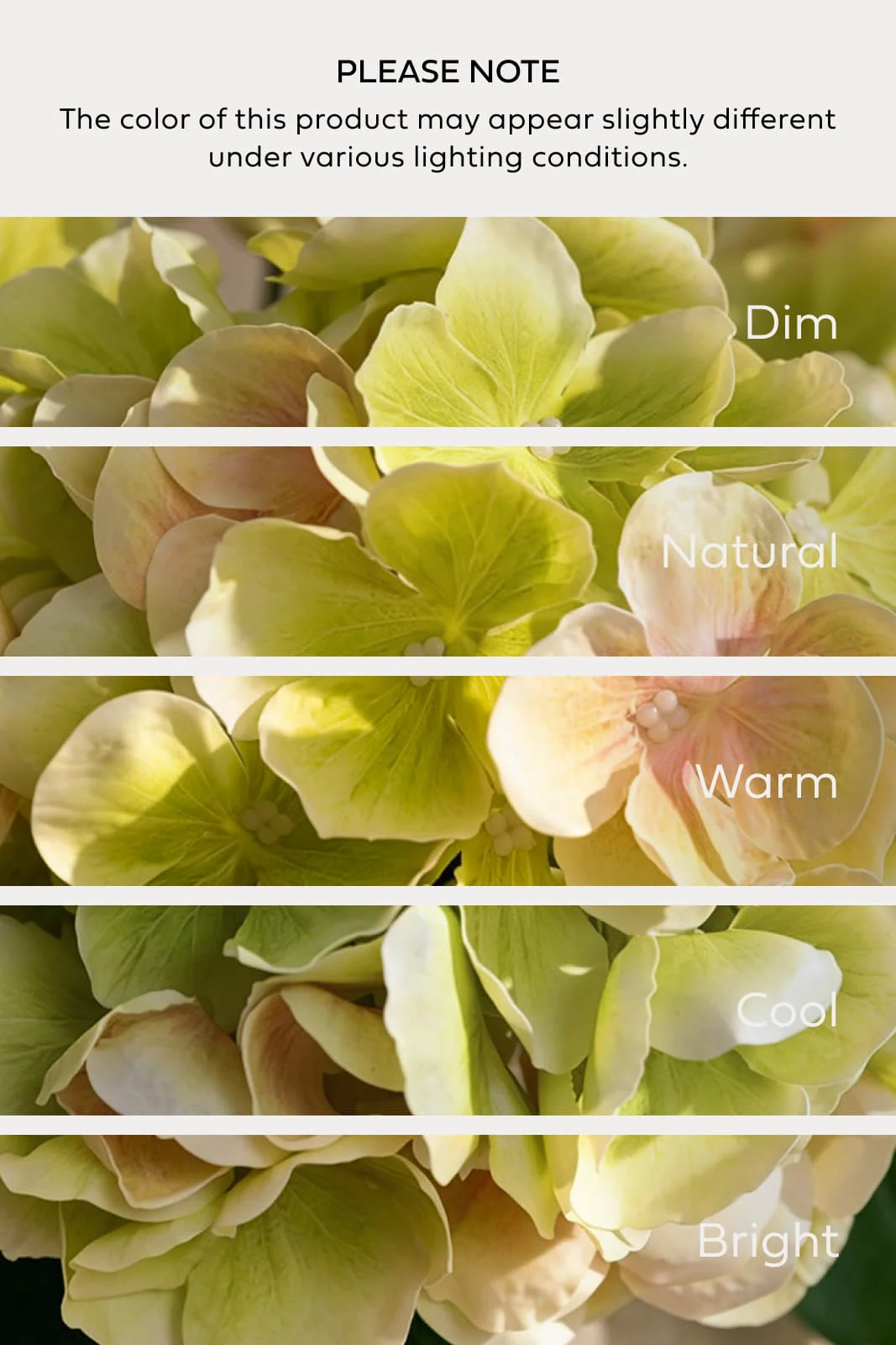 Hydrangeas with Stem - Light Green - Image 3