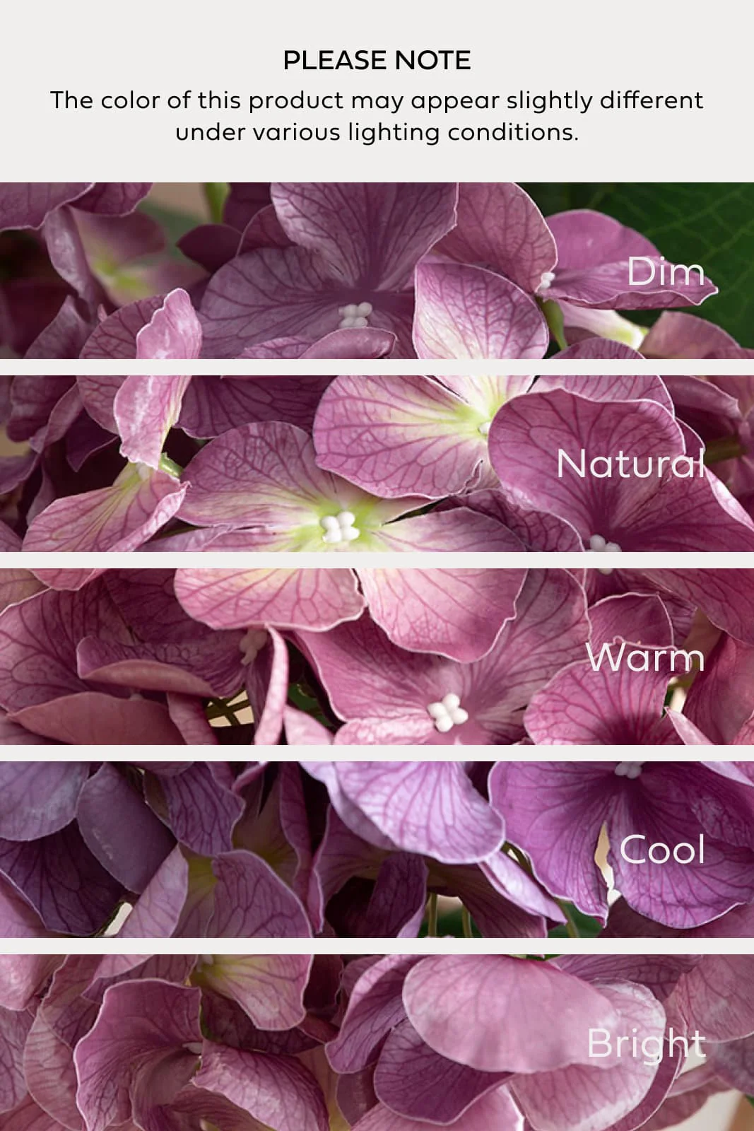 Hydrangeas with Stem - Purple - Image 3