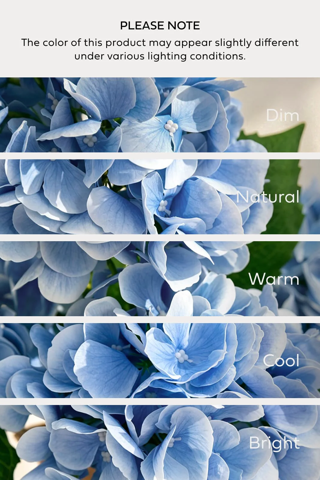 Hydrangeas with Stem - Sky Blue - Image 3