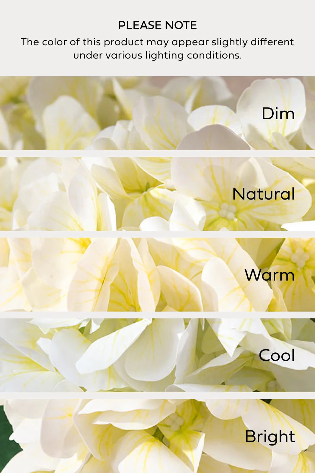 Hydrangeas with Stem - White - Image 3