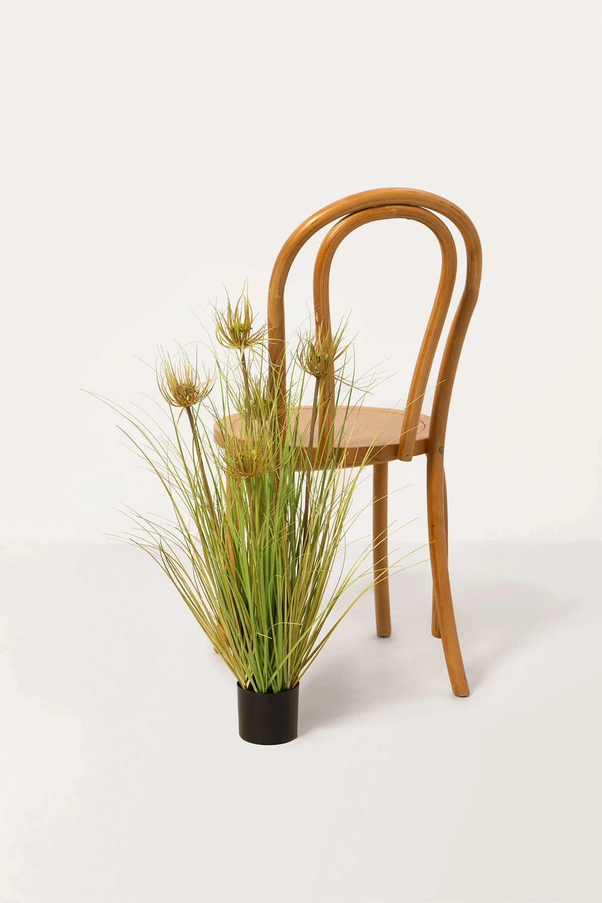 Lush Maiden Grass Meadow in Green | Clearance