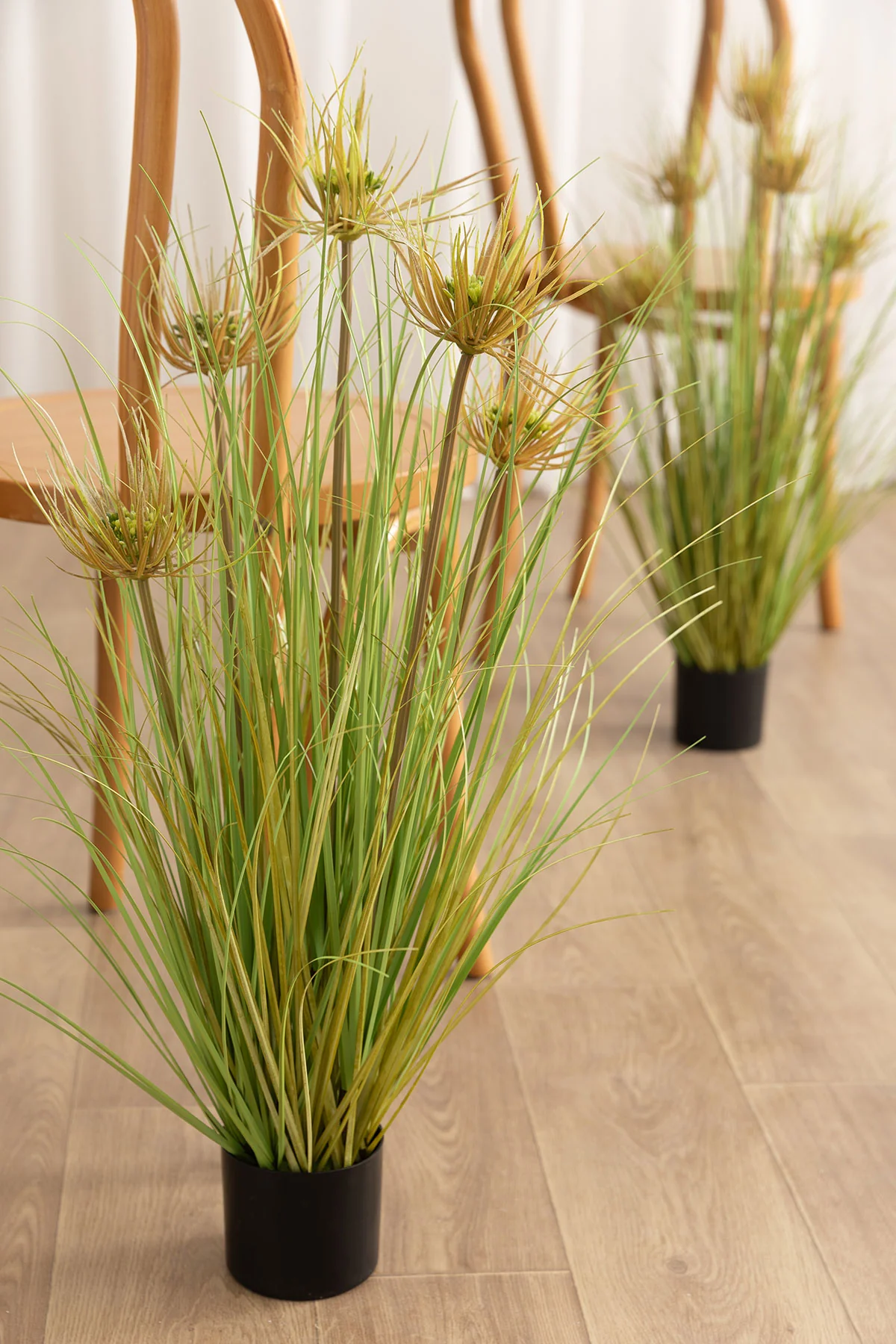 Lush Maiden Grass Meadow in Green | Clearance - Image 3
