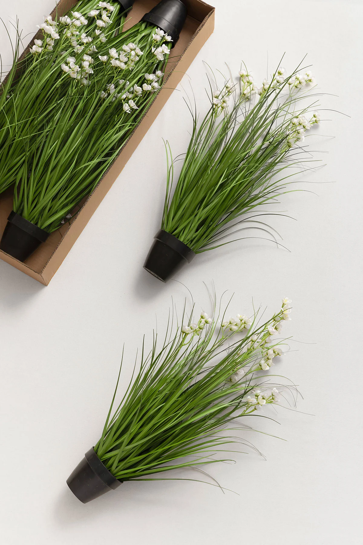 Lush Maiden Grass Meadow in White & Green - Image 5