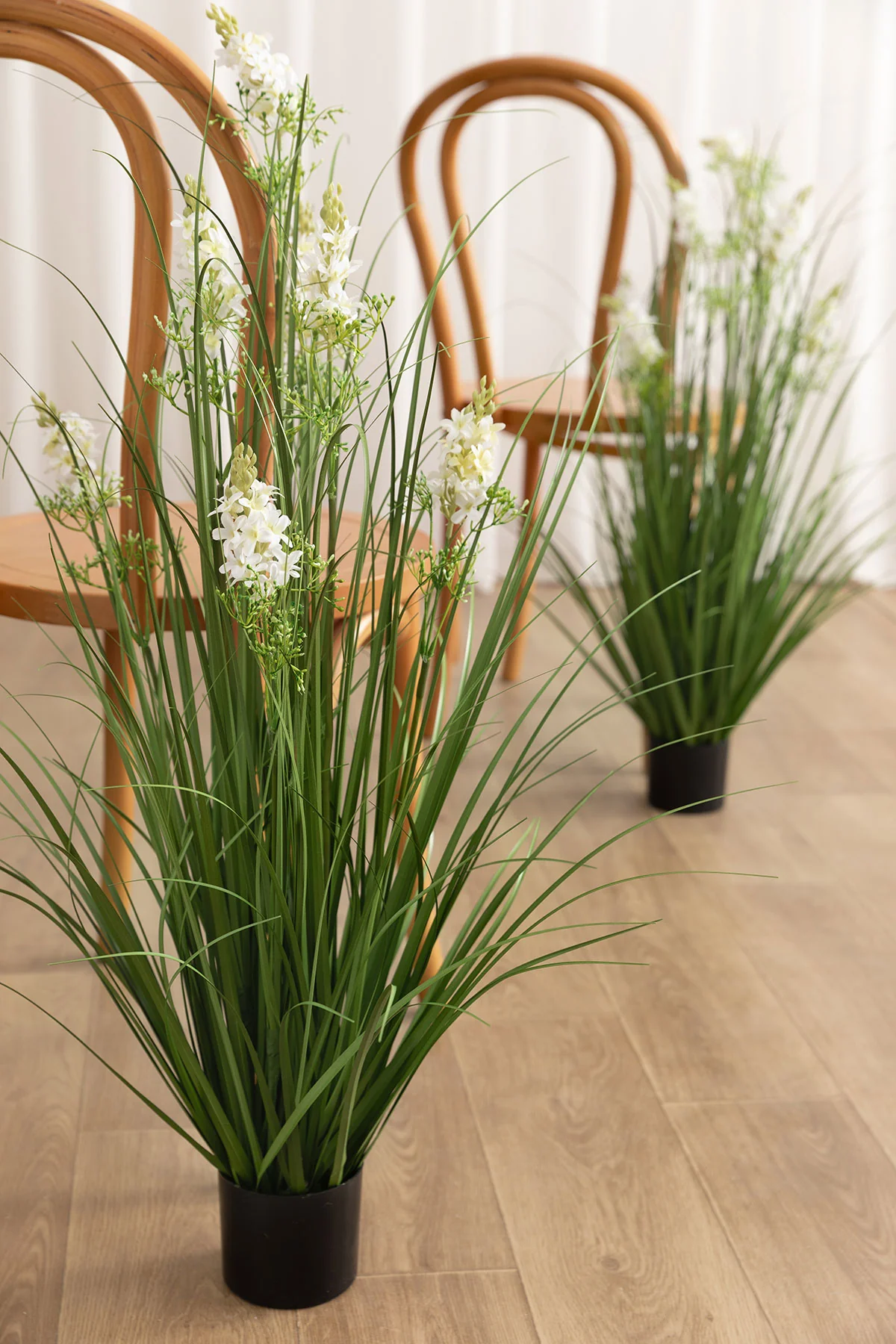 Maiden Grass in White & Green Delphinium (Set of 6) | Clearance - Image 2