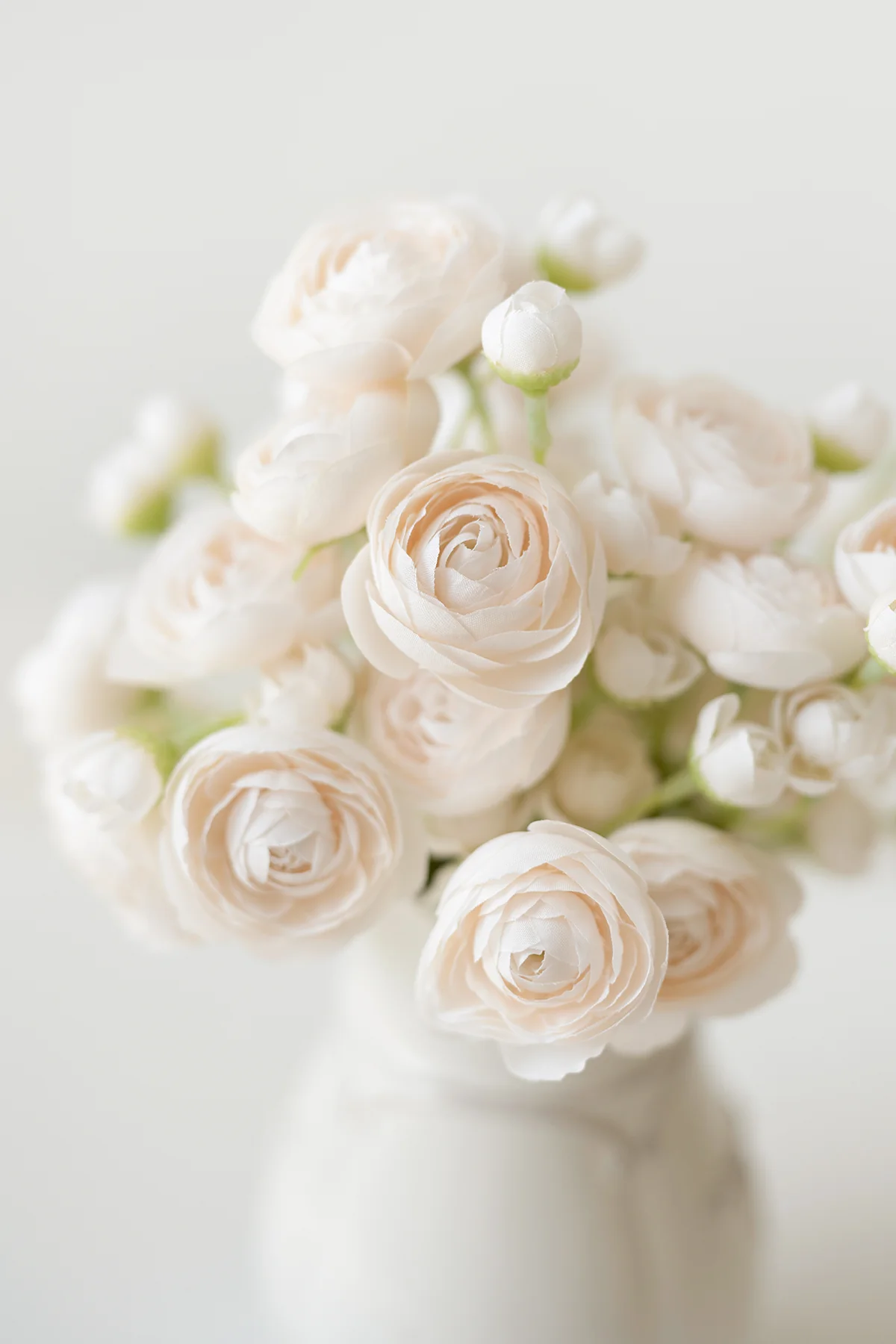 Ranunculus Flowers with Stem - Cream (18pcs) - Image 3