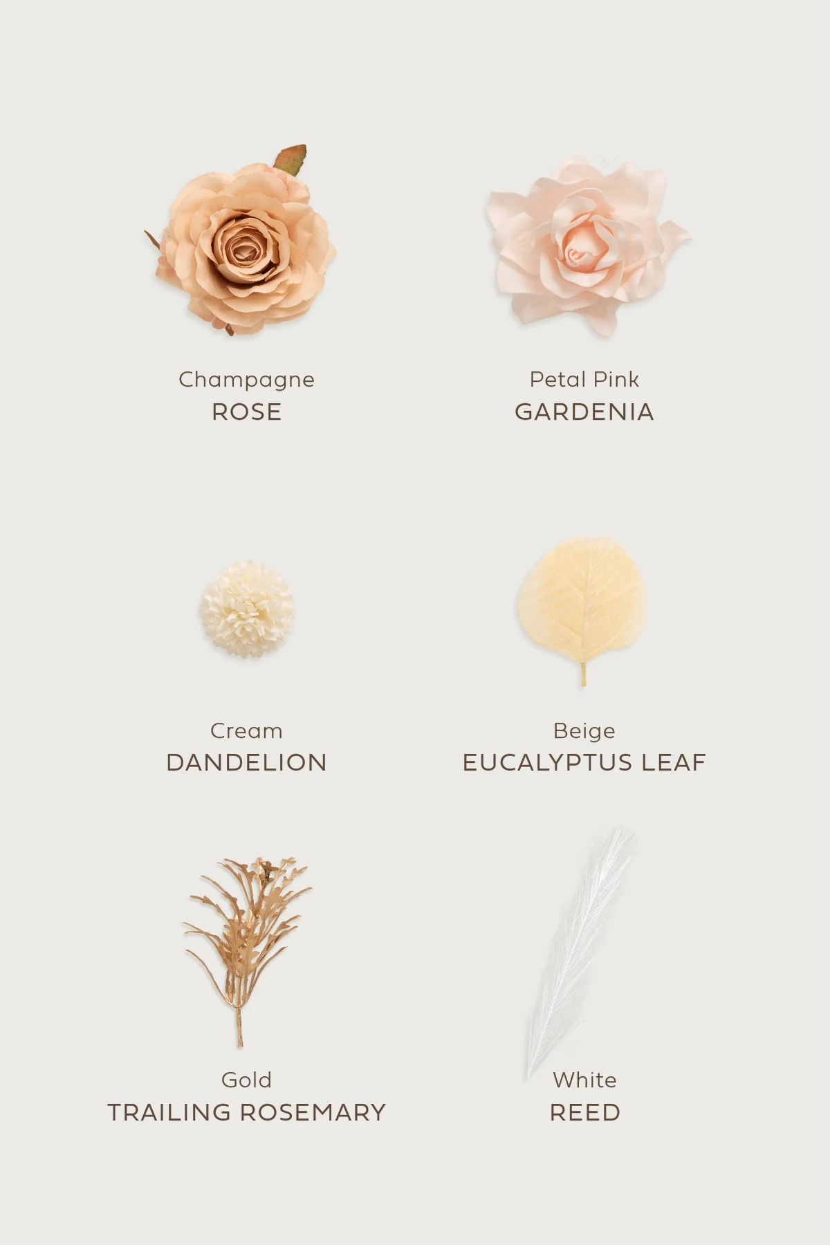 Sample Box in White & Beige | Clearance - Image 4