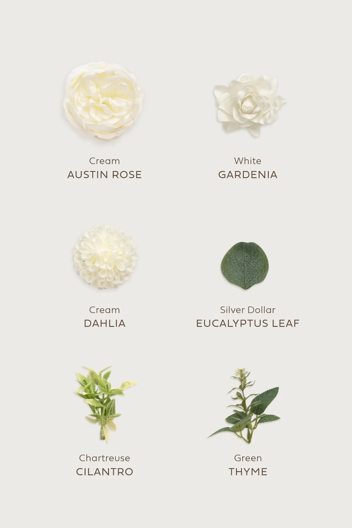 Sample Box in White & Sage - Image 4