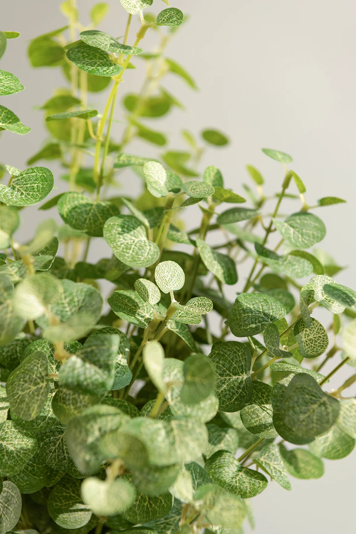 Gunni Eucalyptus | Clearance - Image 3