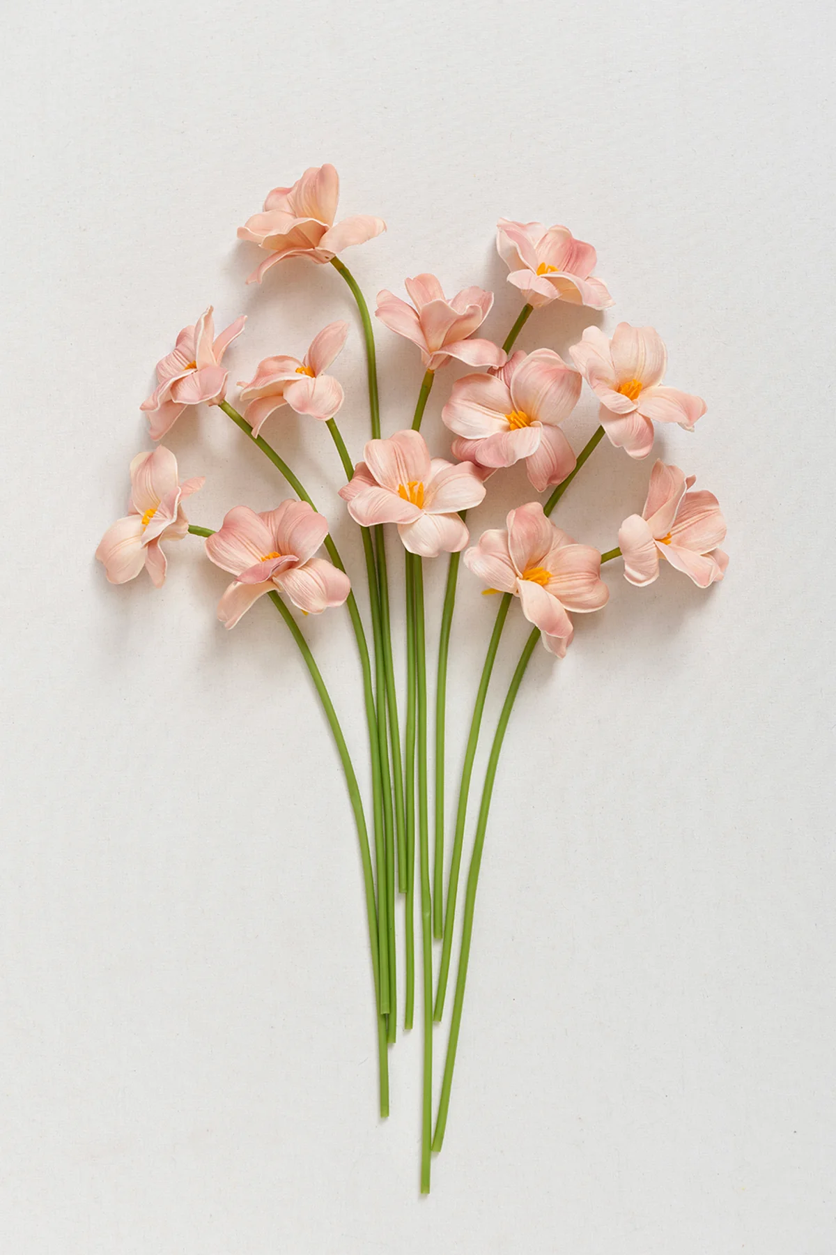 Tulips with Stem - Image 3